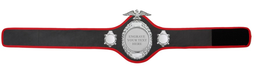 CHAMPIONSHIP BELT-PRO288/S/ENGRAVE - 10 COLOURS
